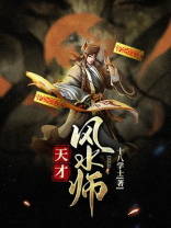 天才风水师