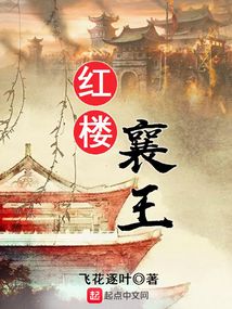 红楼襄王 小说 免费