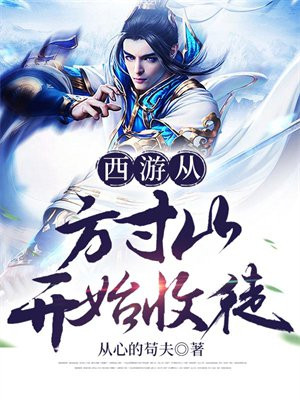 穿越西游从方寸山开始收徒的小说