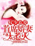 权少惹爱:首席娇妻太惹火