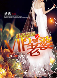 私婚之BOSS的VIP老婆小说
