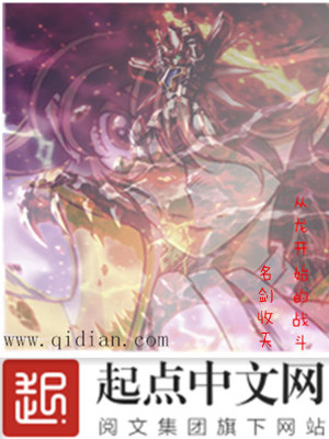 战斗开始了概括