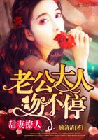 甜婚蜜爱,老公大人不简单