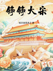 铮铮大宋小说阅读
