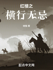 纵横红楼武者