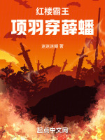霸王项羽的小说