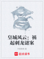 皇城风云录txt