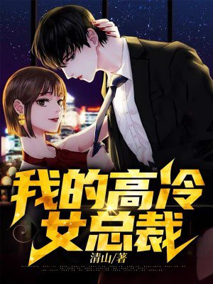 我的高冷女总裁陆尘完整版