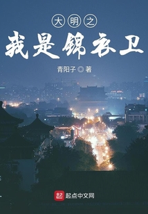 大明之我是锦衣卫小说