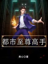 都市至尊高手