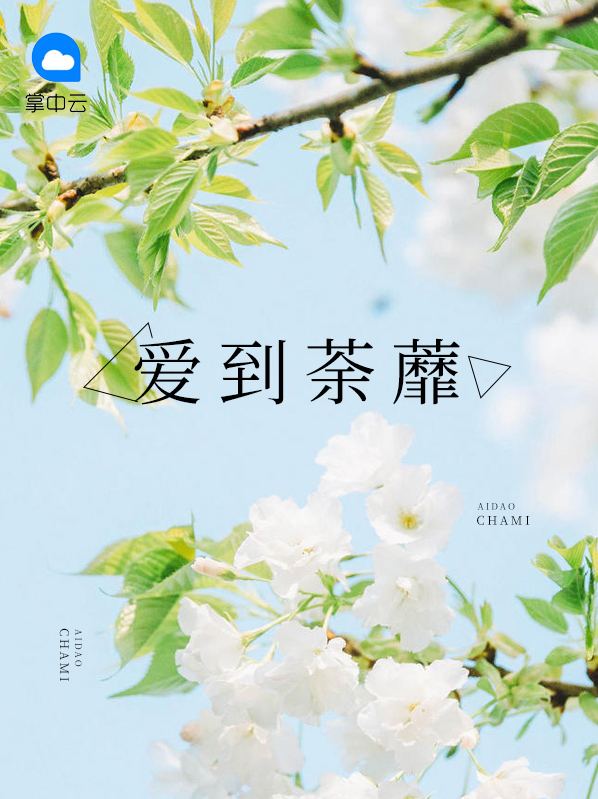 爱到荼靡花事了的意思