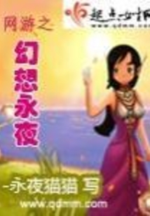 网游之幻想永夜