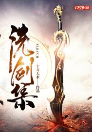 洗剑集内容