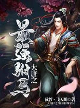 大唐之最强驸马长孙冲