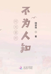 时光里的不为人知小说