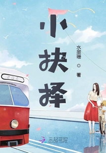 小说抉择