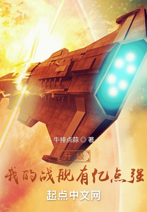 小说我的战舰能升级