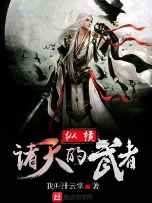 纵横诸天的武者TXT下载