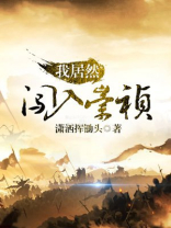 我居然闯入崇祯