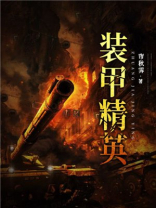 装甲精英2战争沙丘手机版