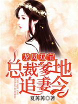 龙凤双宝：总裁爹地追妻令