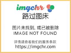 恰逢雨连天小说简介