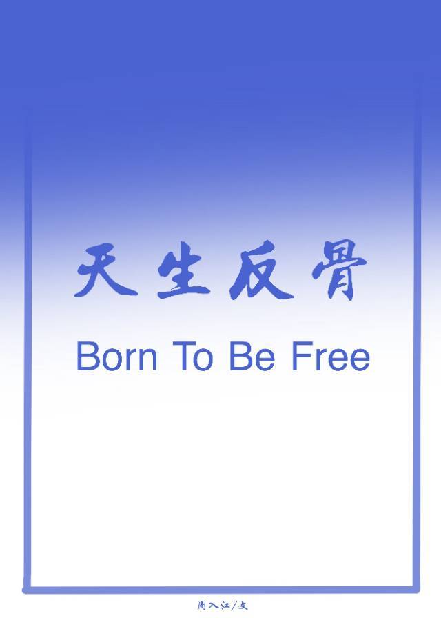 足球绿茵场魔术师小说