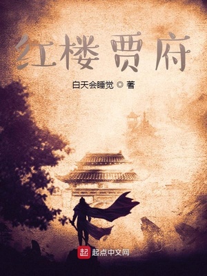 小说红楼贾府
