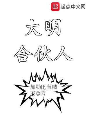 大明合伙人TXT下载