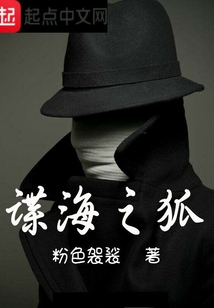 谍海之狐TXT下载