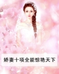 娇妻系列麻将是第几章