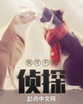我可不是侦探TXT下载