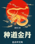 种道金丹免费阅读