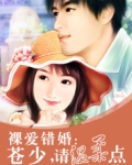 错爱:苍少,离婚吧
