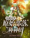 穿越异世:原始部落种种田阅读本书