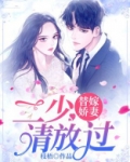 替嫁娇妻:二少请放过