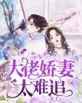 重生娇妻太难追电视剧