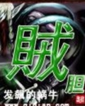 贼胆大的去做绿林中人这句话的含义是什么
