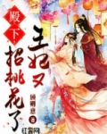 殿下,王妃又招桃花了下载