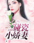总裁霸爱小娇妻 小说免费