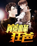 小说巅峰狂少