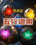 西游记五行观