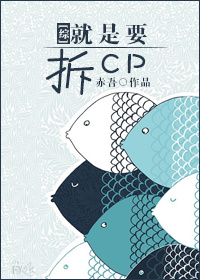 [综]就是要拆cp 小说