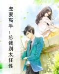 宠妻高手：总裁别太任性