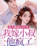 渣夫跪舔白月光,我嫁小叔他疯了