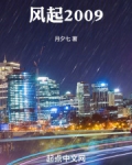 风起2009