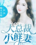 大总裁小鲜妻全文免费