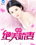 天降绝美娇妻 小说