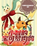 宝可梦小智all