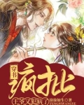穿书:疯批王爷又犯病了